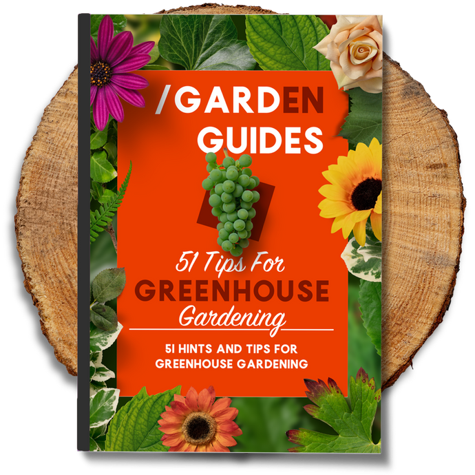 51 Tips For Greenhouse Gardening