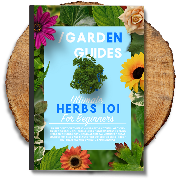 Ultimate Herbs 101 For Beginners